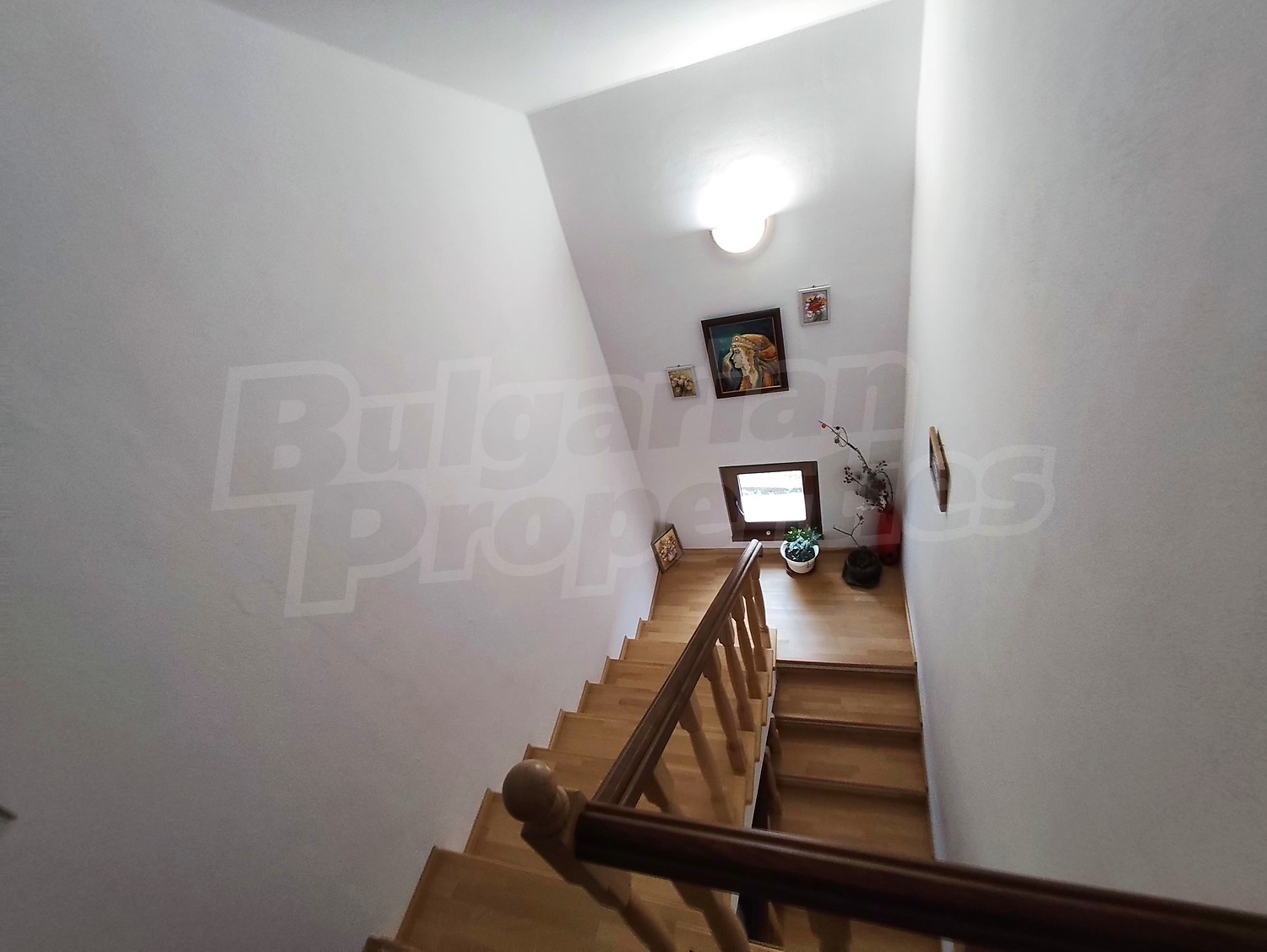 Gallery Picture 26