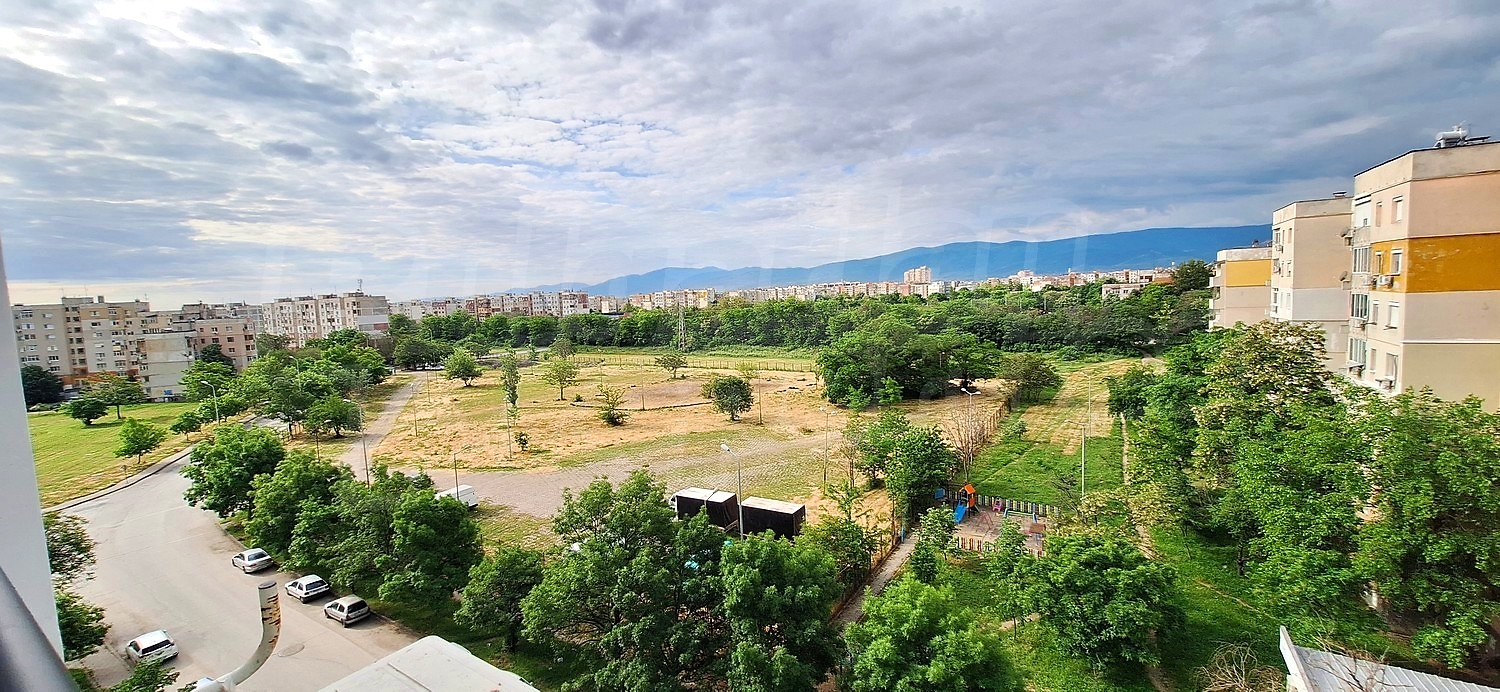 Gallery Picture 13