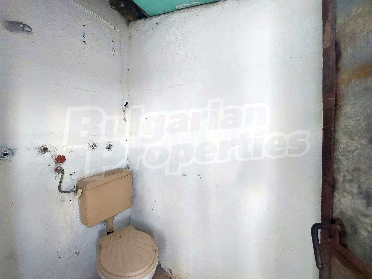 Gallery Picture 13