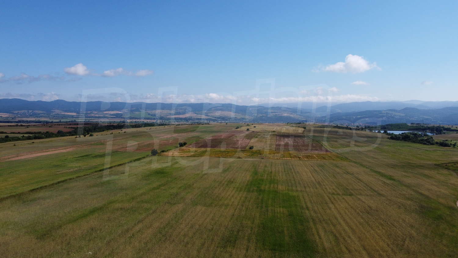 Gallery Picture 18