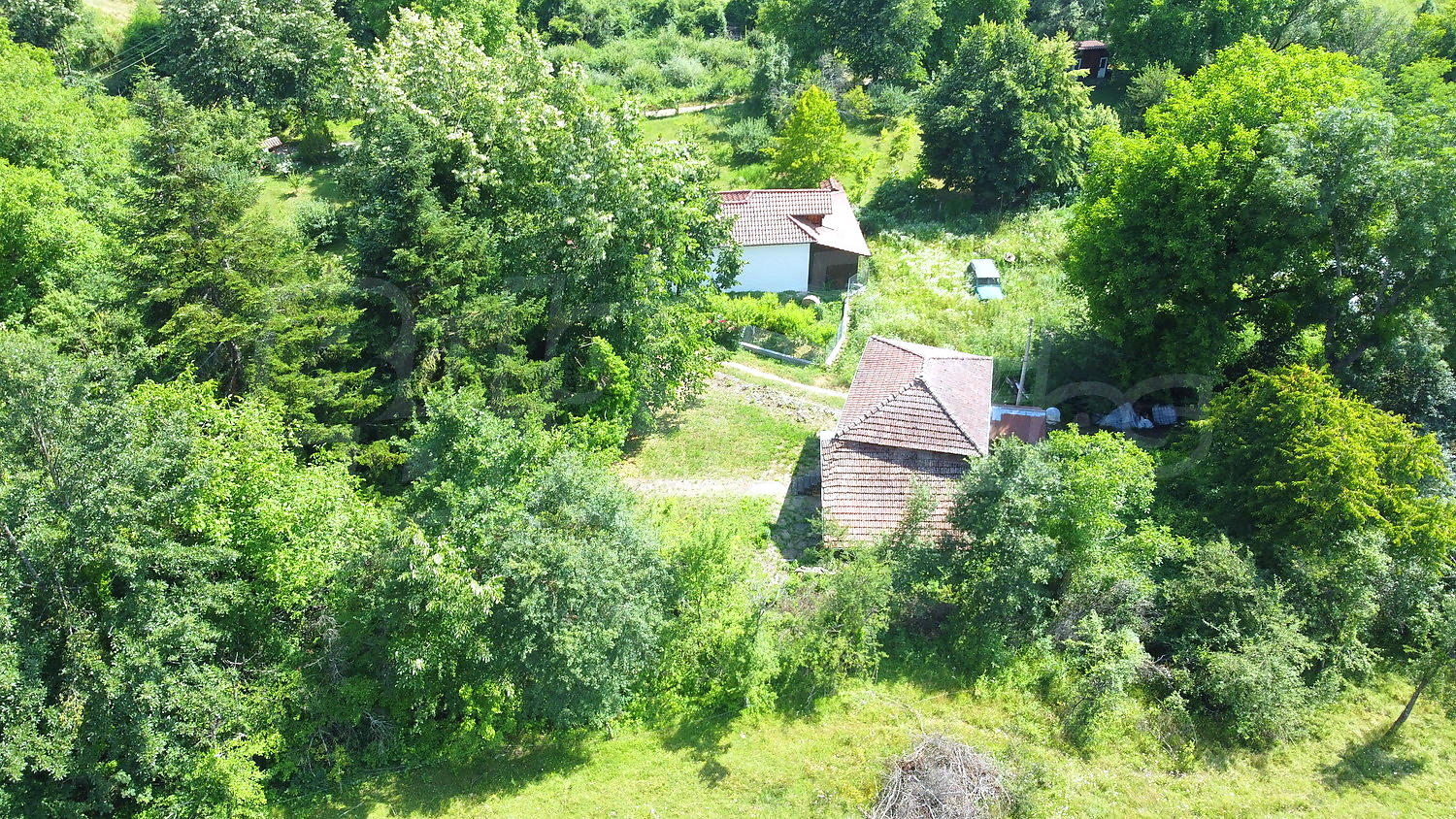 Gallery Picture 37