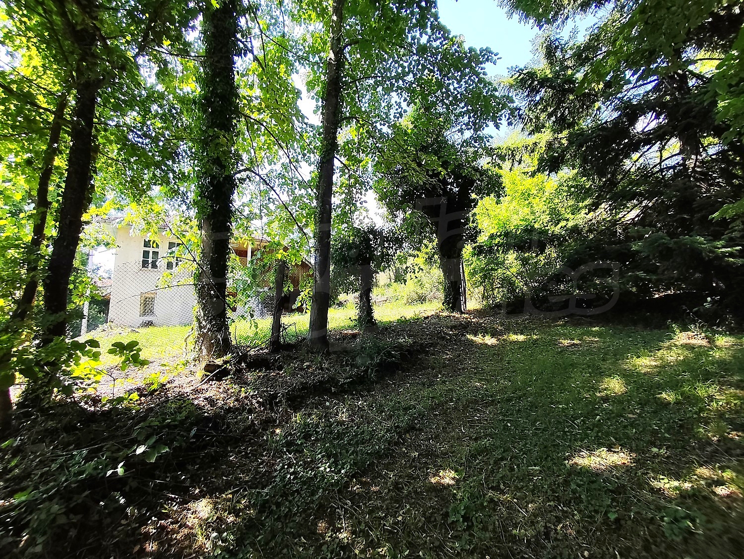 Gallery Picture 10