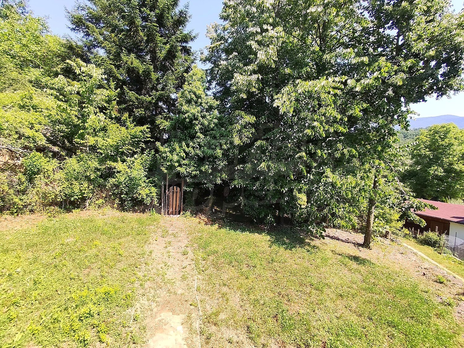 Gallery Picture 25