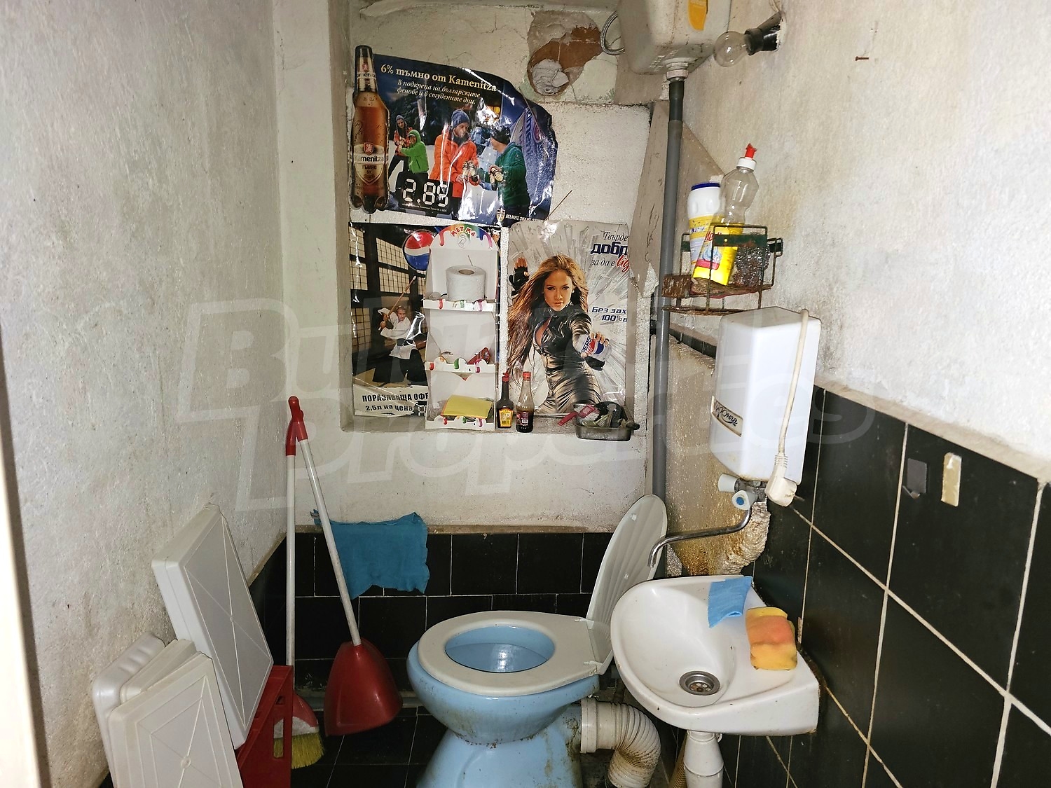 Gallery Picture 6