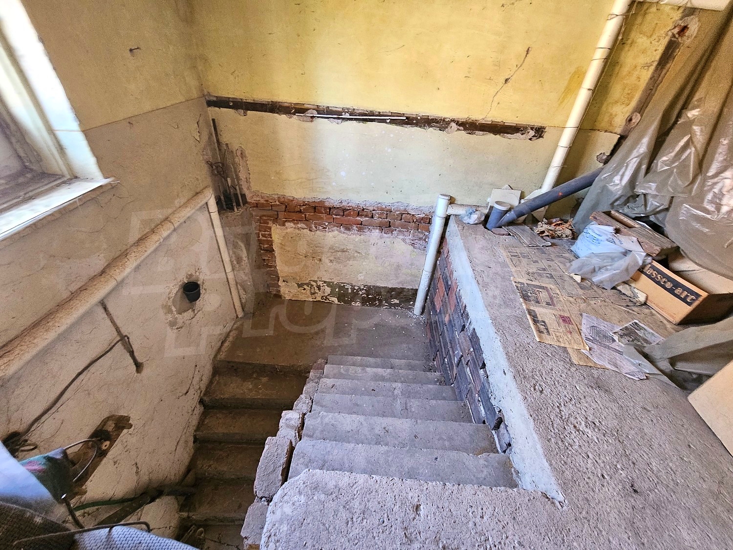 Gallery Picture 34
