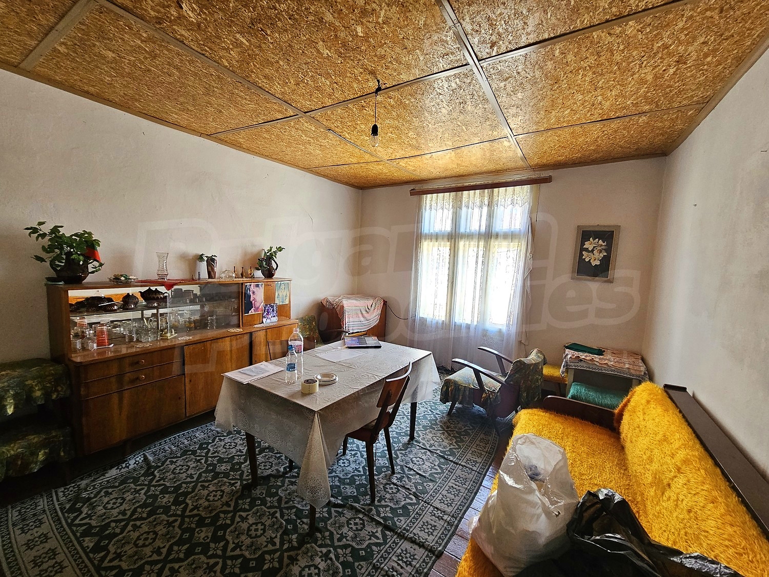 Gallery Picture 14