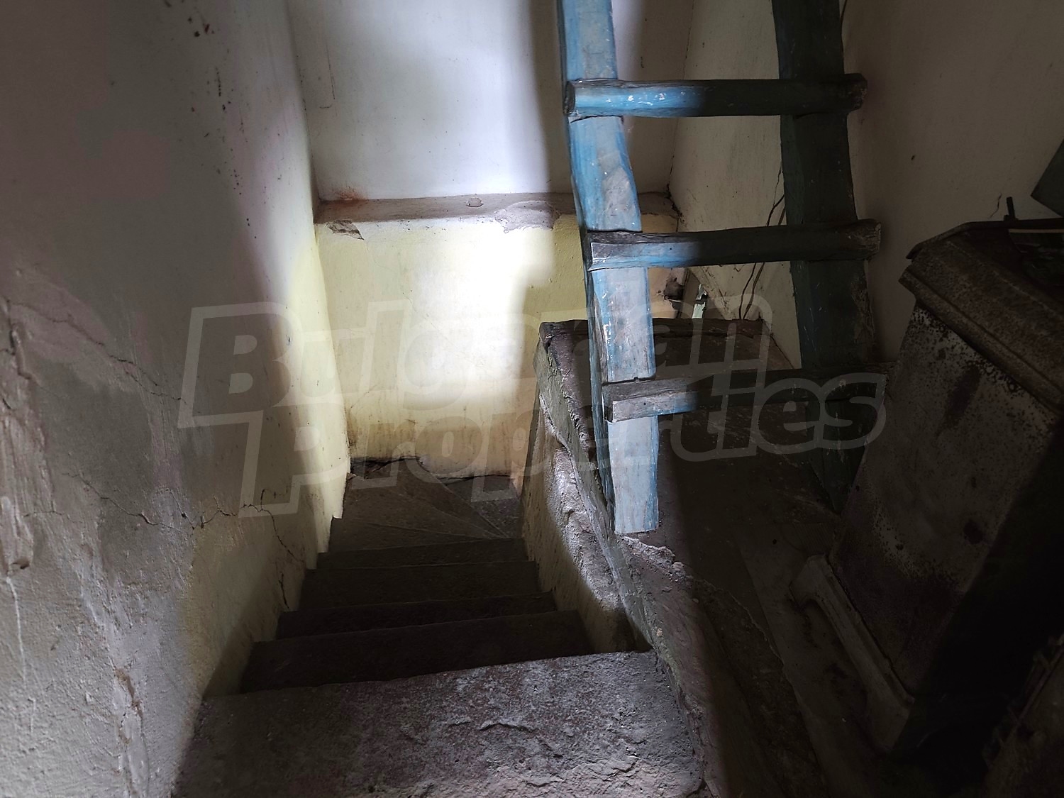 Gallery Picture 19