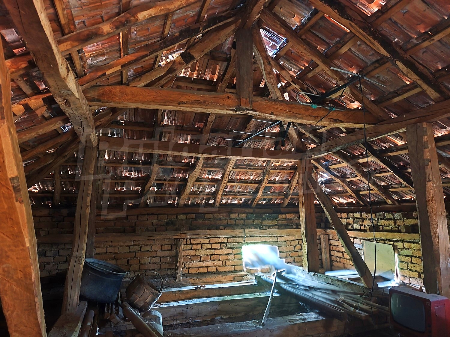 Gallery Picture 38