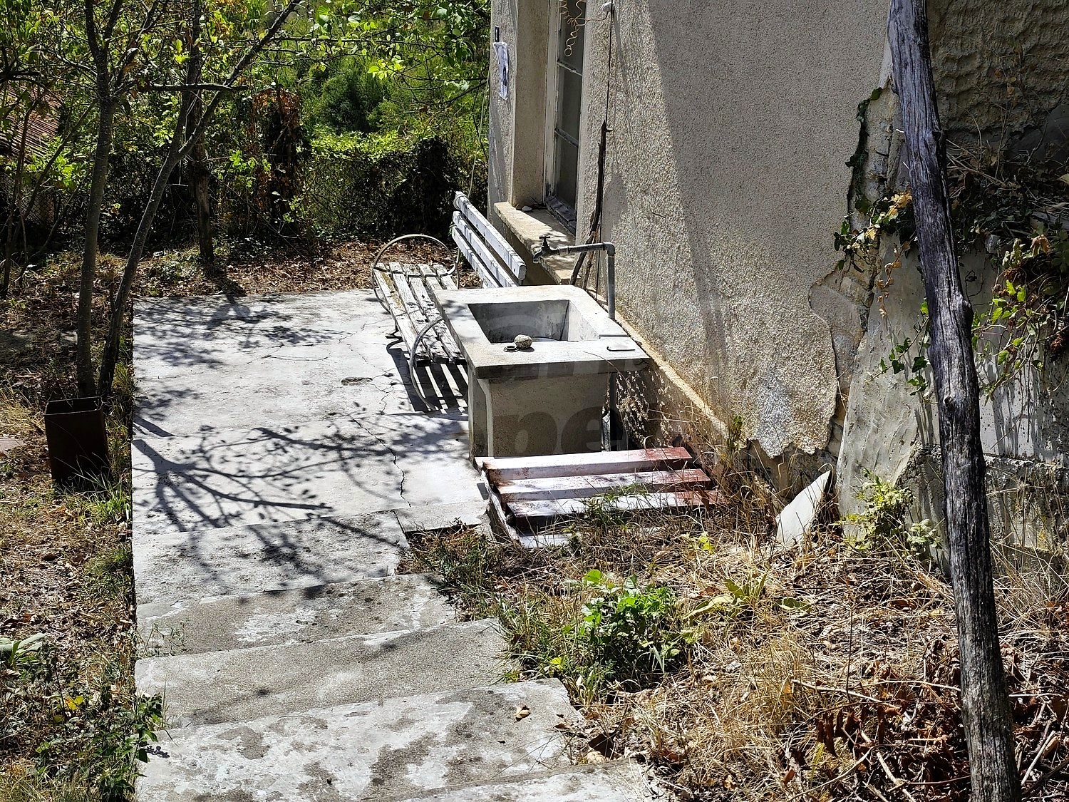 Gallery Picture 41