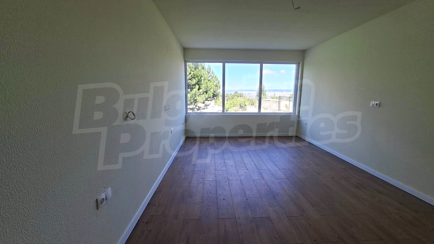 Gallery Picture 14