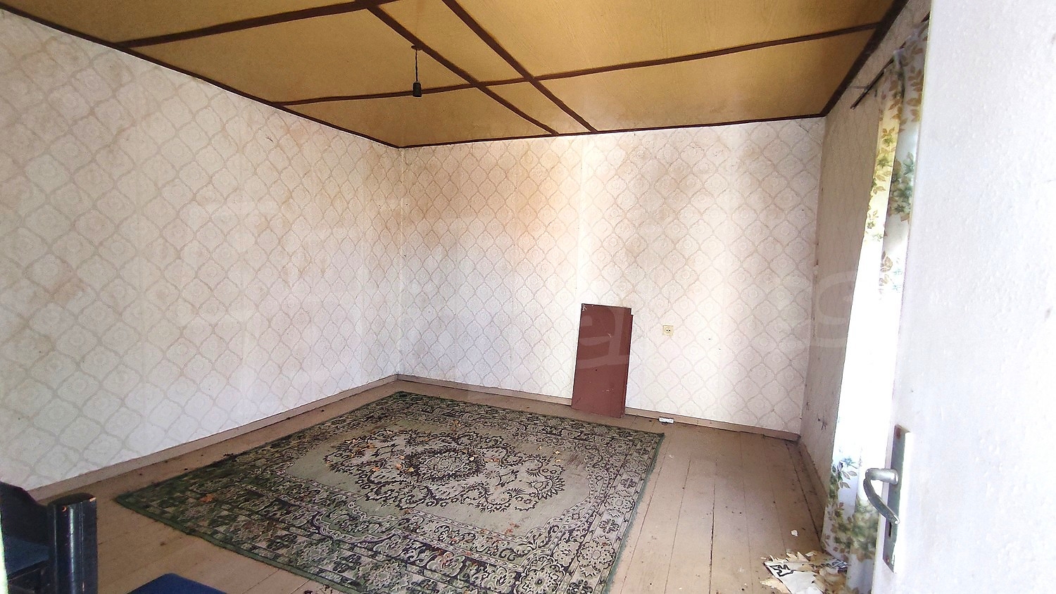 Gallery Picture 10