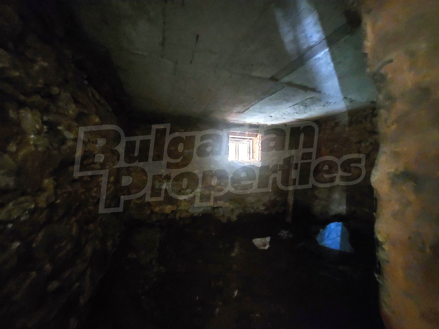 Gallery Picture 35