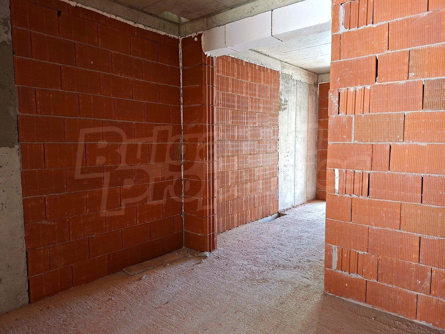 Gallery Picture 10