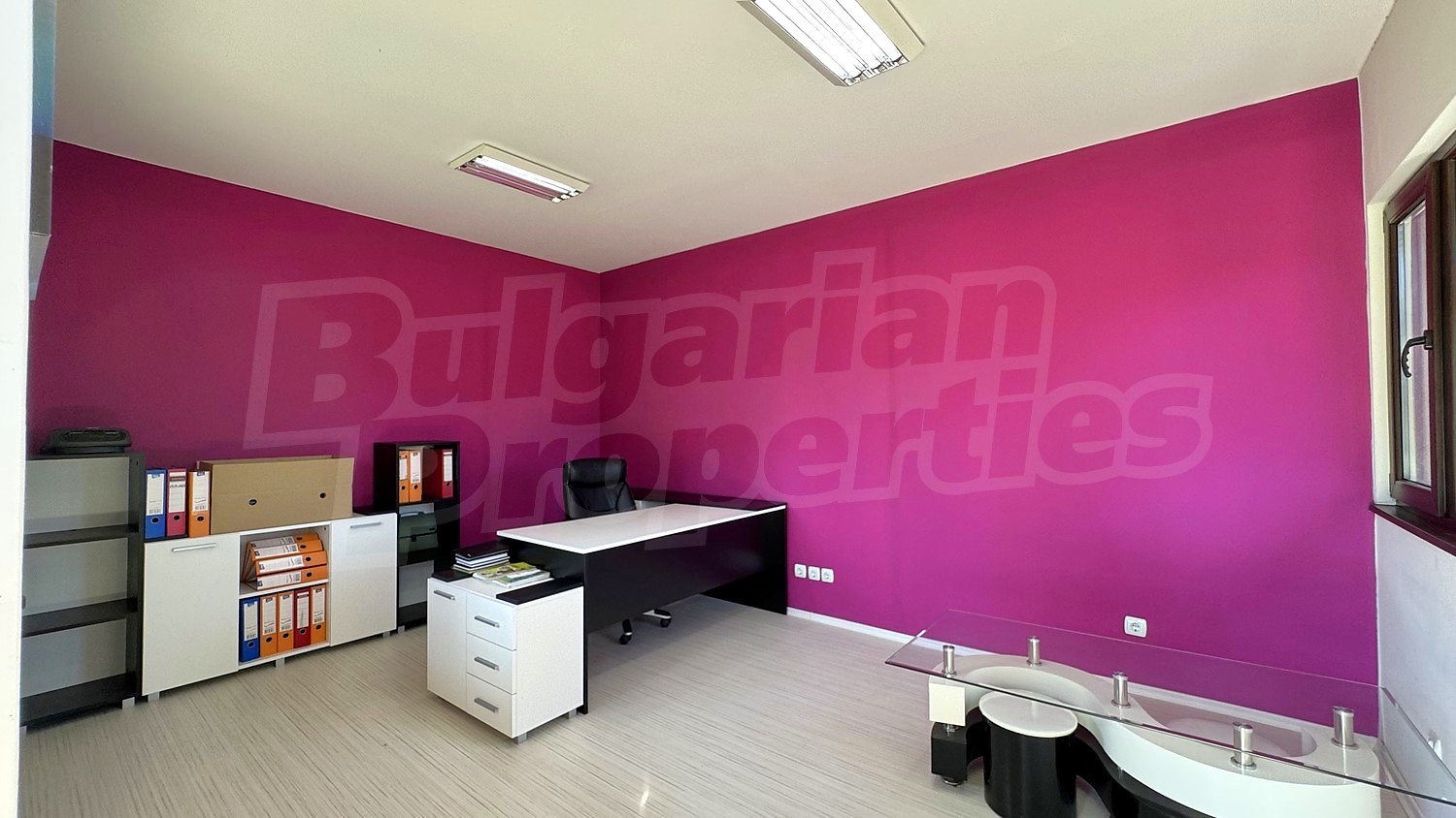 Gallery Picture 23