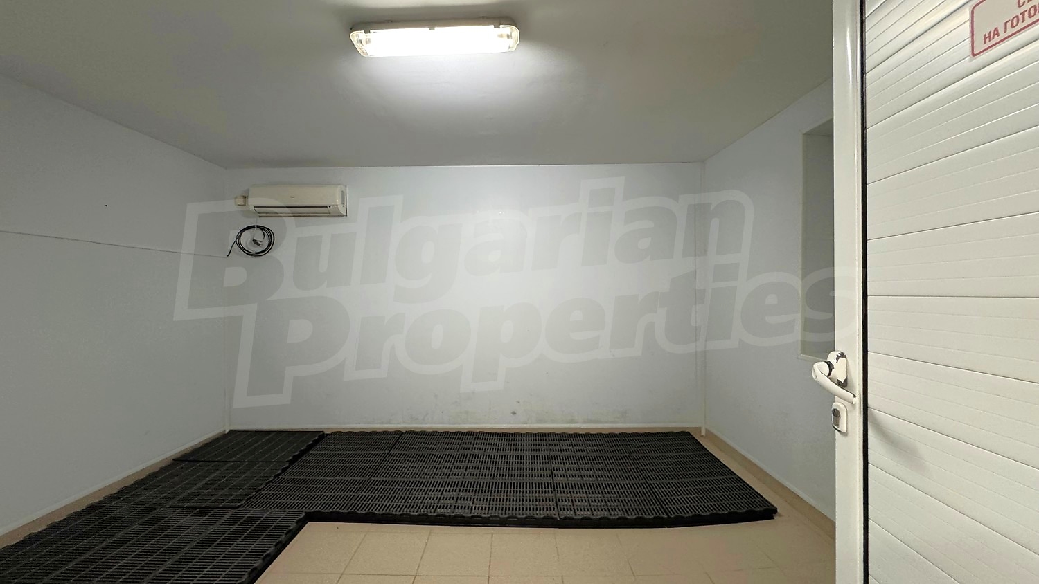 Gallery Picture 16