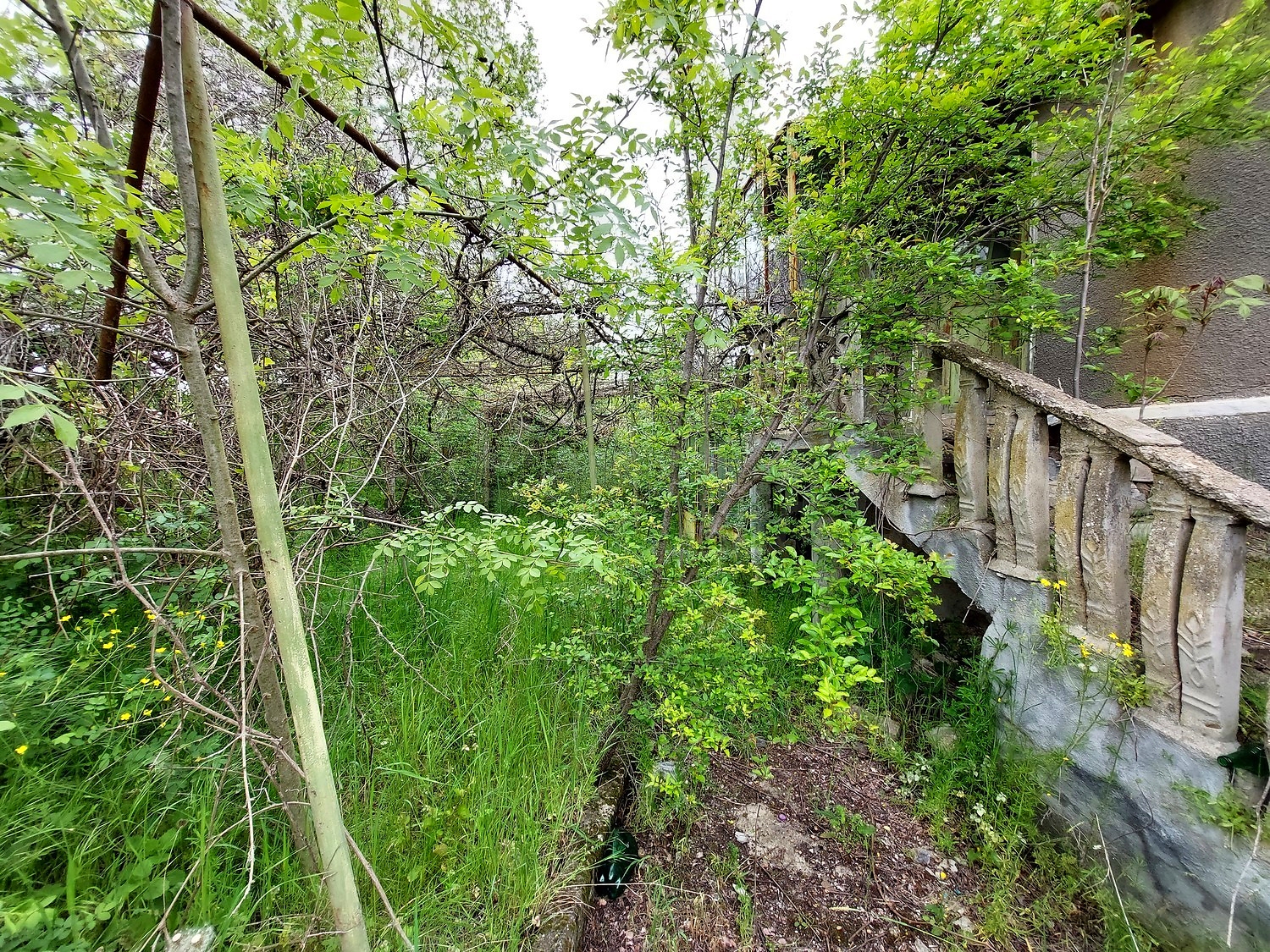 Gallery Picture 6