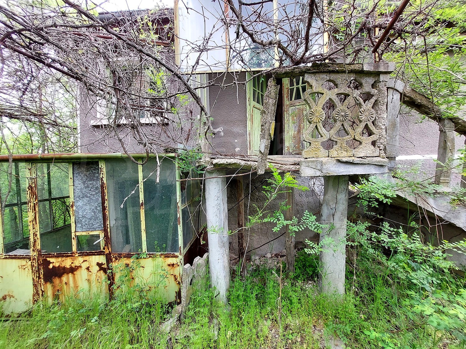 Gallery Picture 5