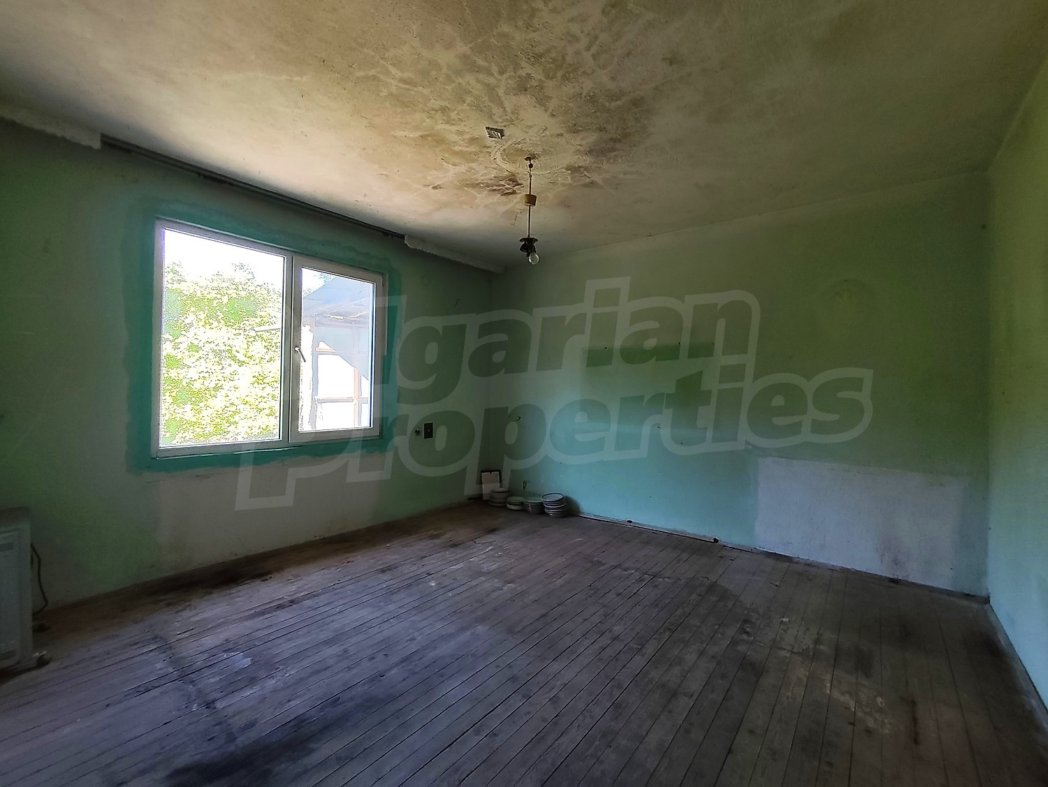 Gallery Picture 18