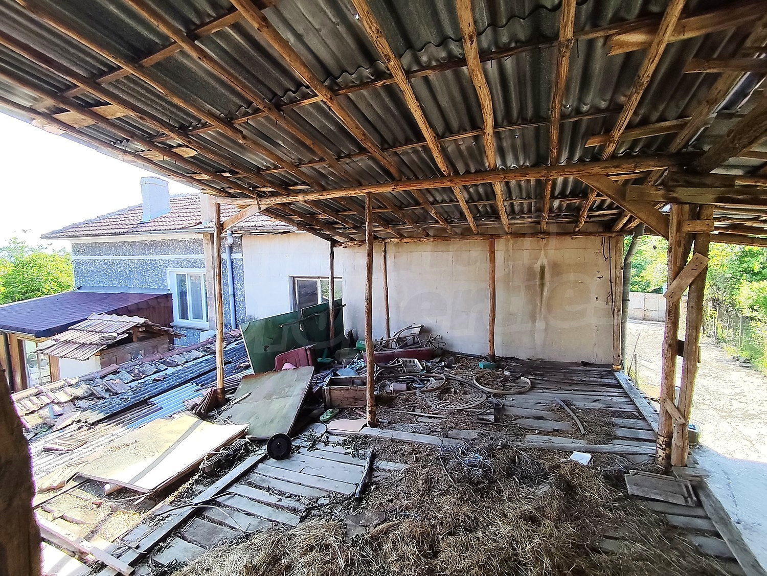 Gallery Picture 41