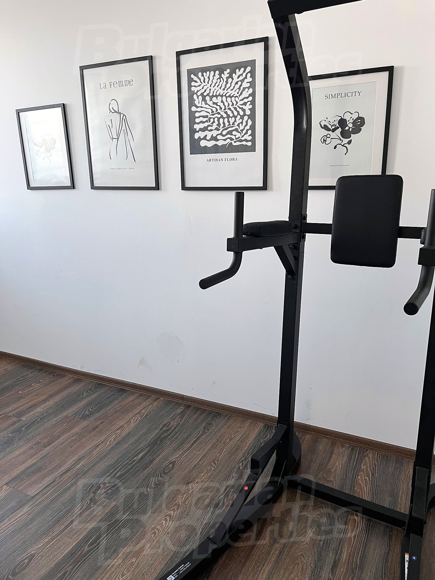 Gallery Picture 23
