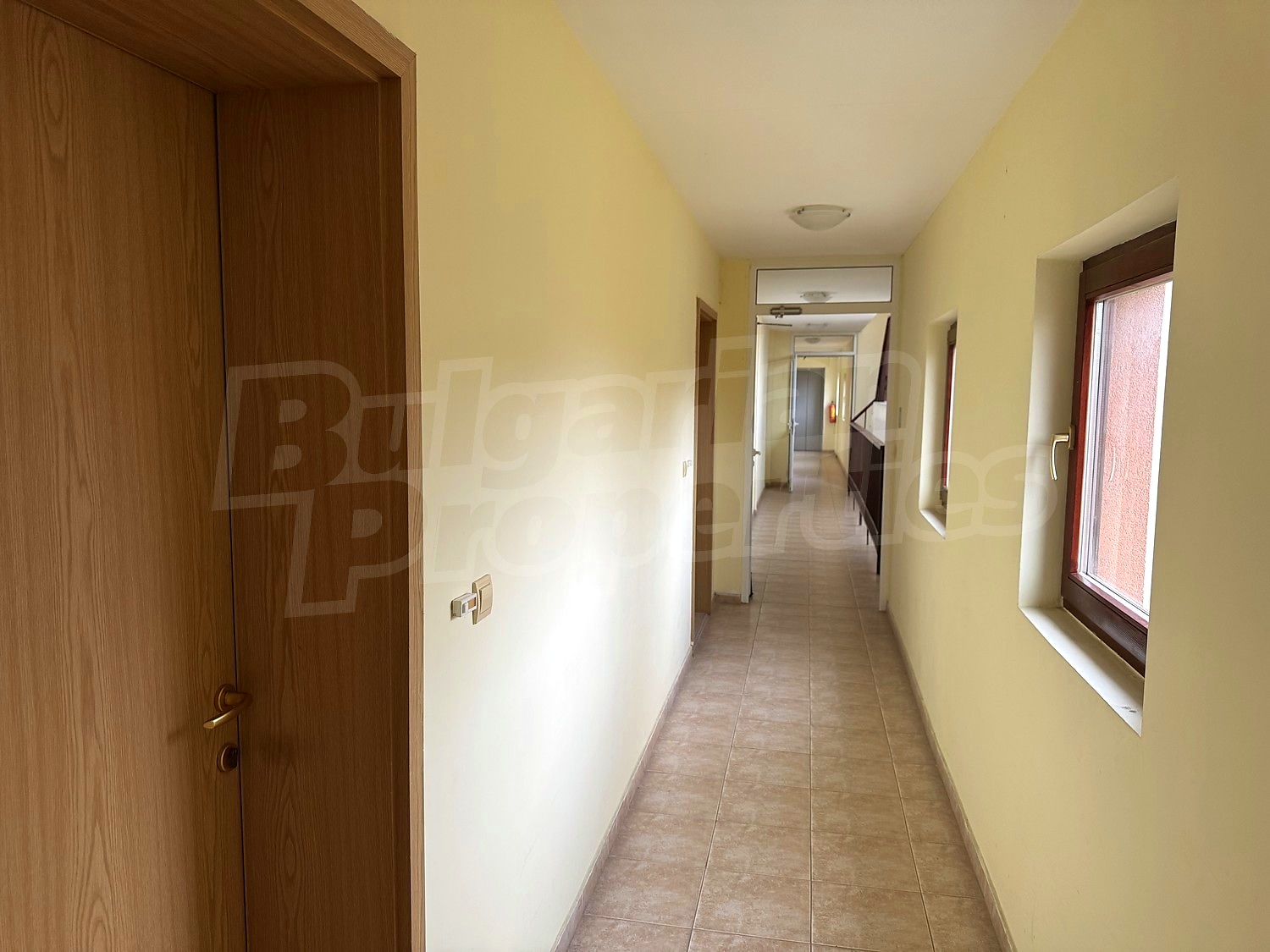 Gallery Picture 24