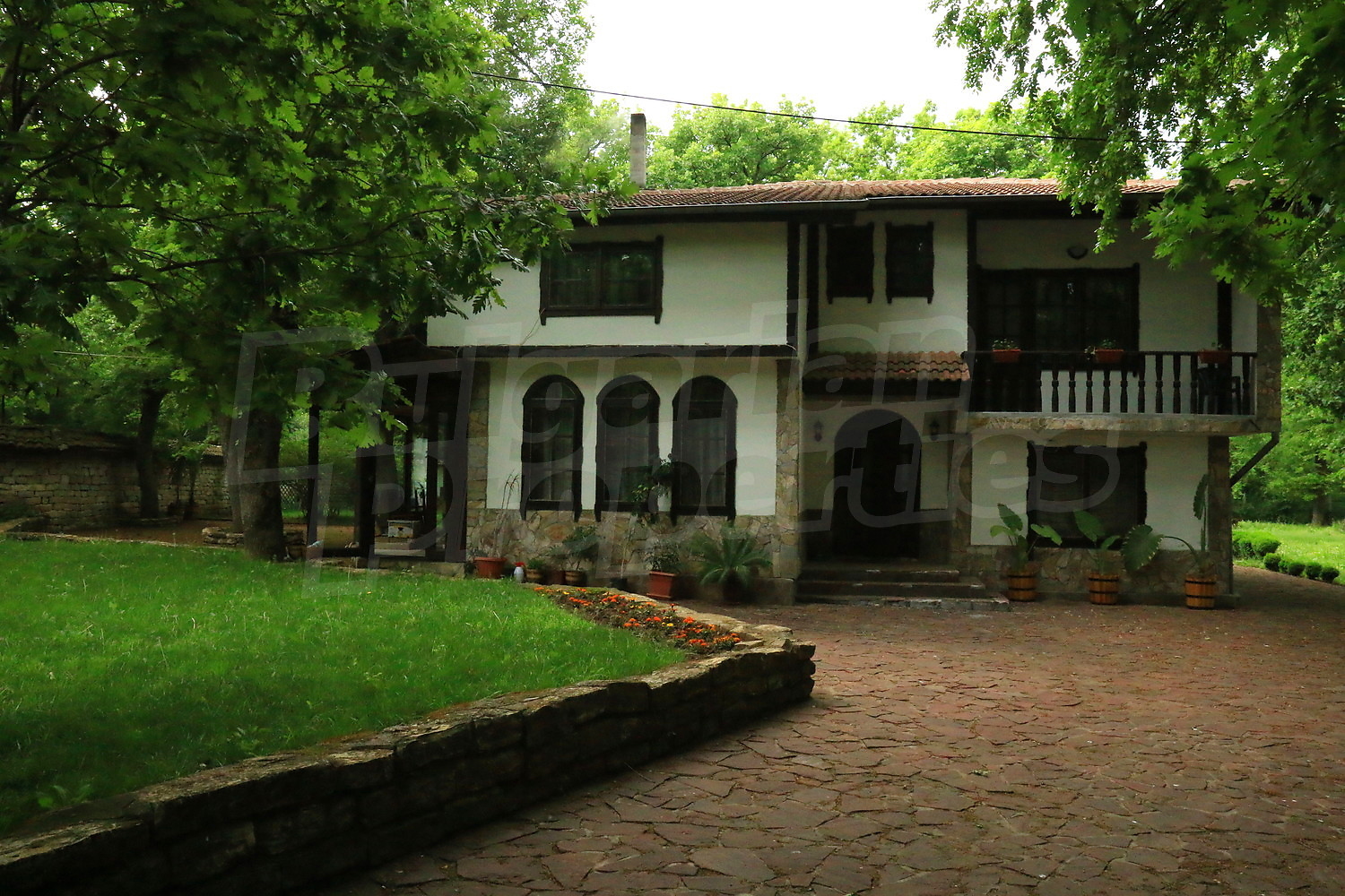 Gallery Picture 14