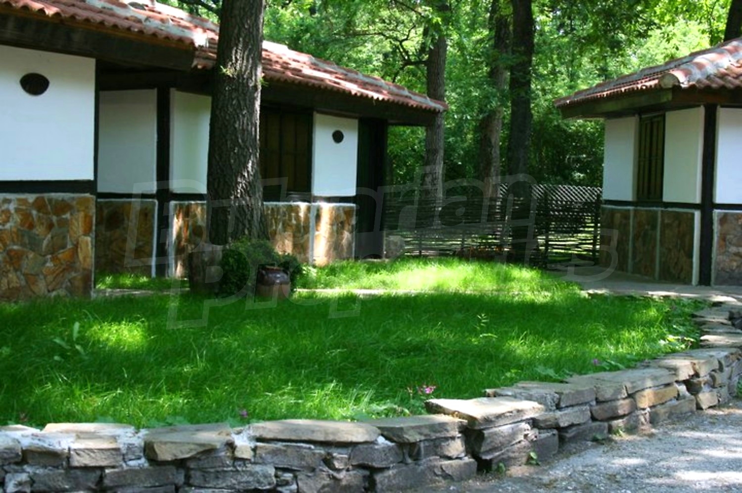 Gallery Picture 12