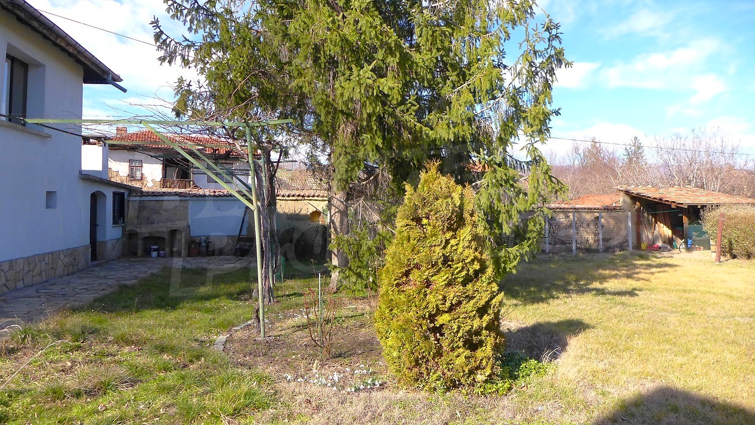 Gallery Picture 51