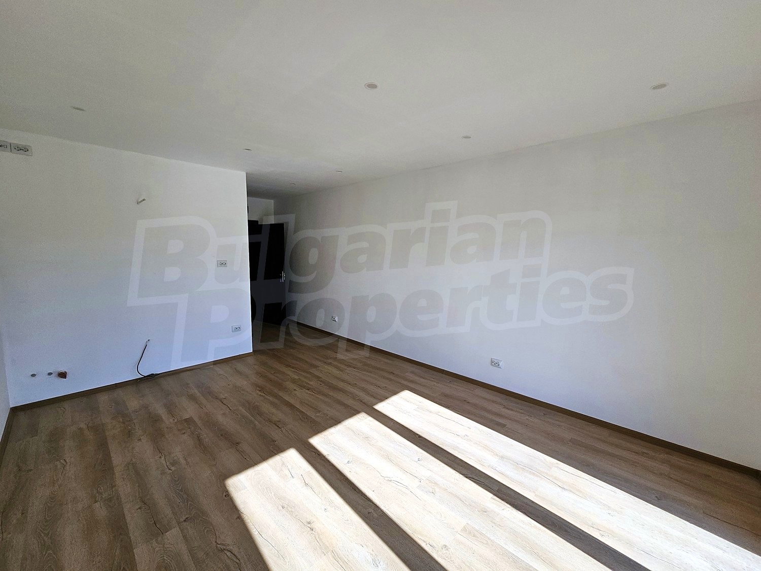 Gallery Picture 7