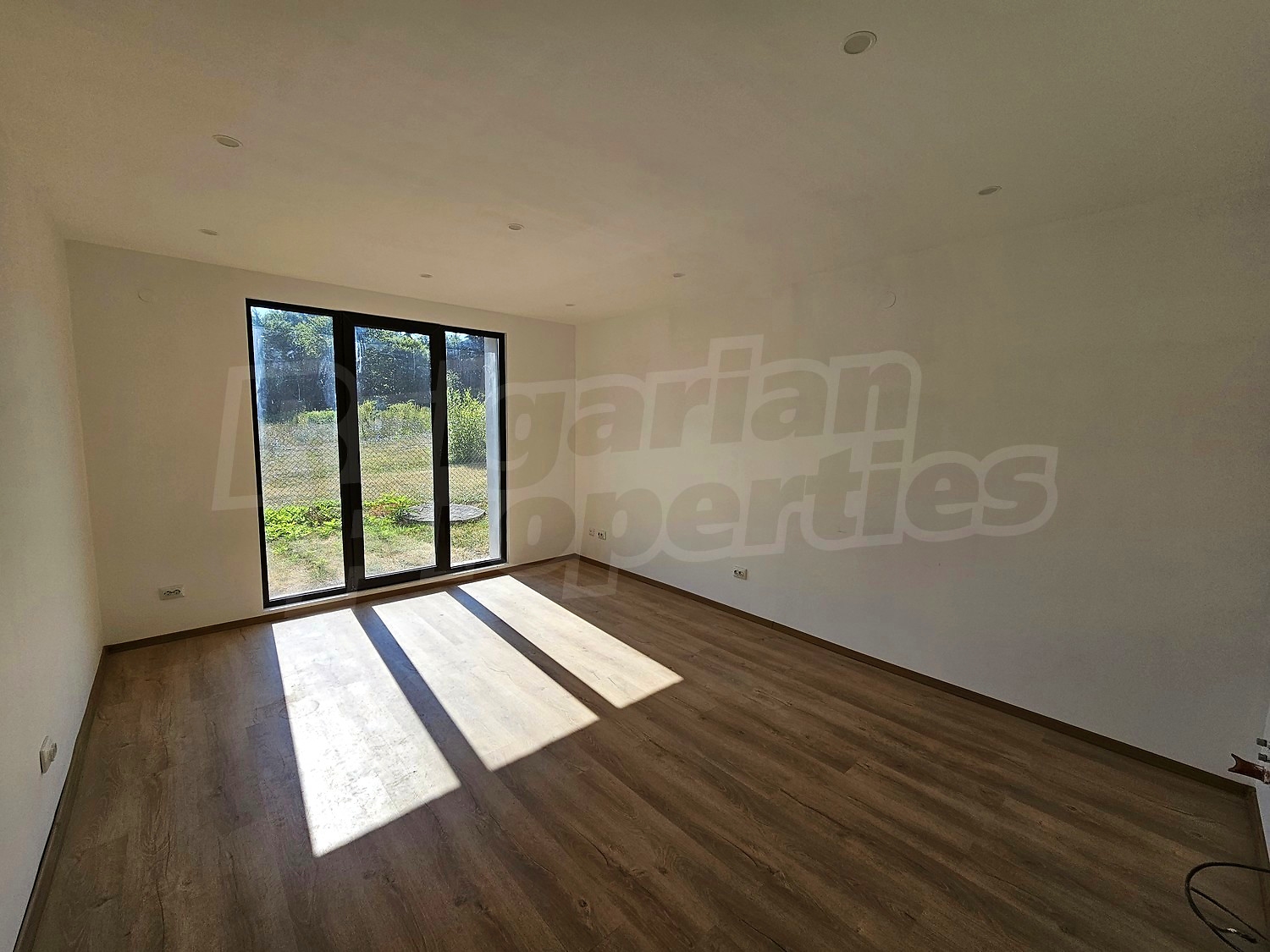 Gallery Picture 5