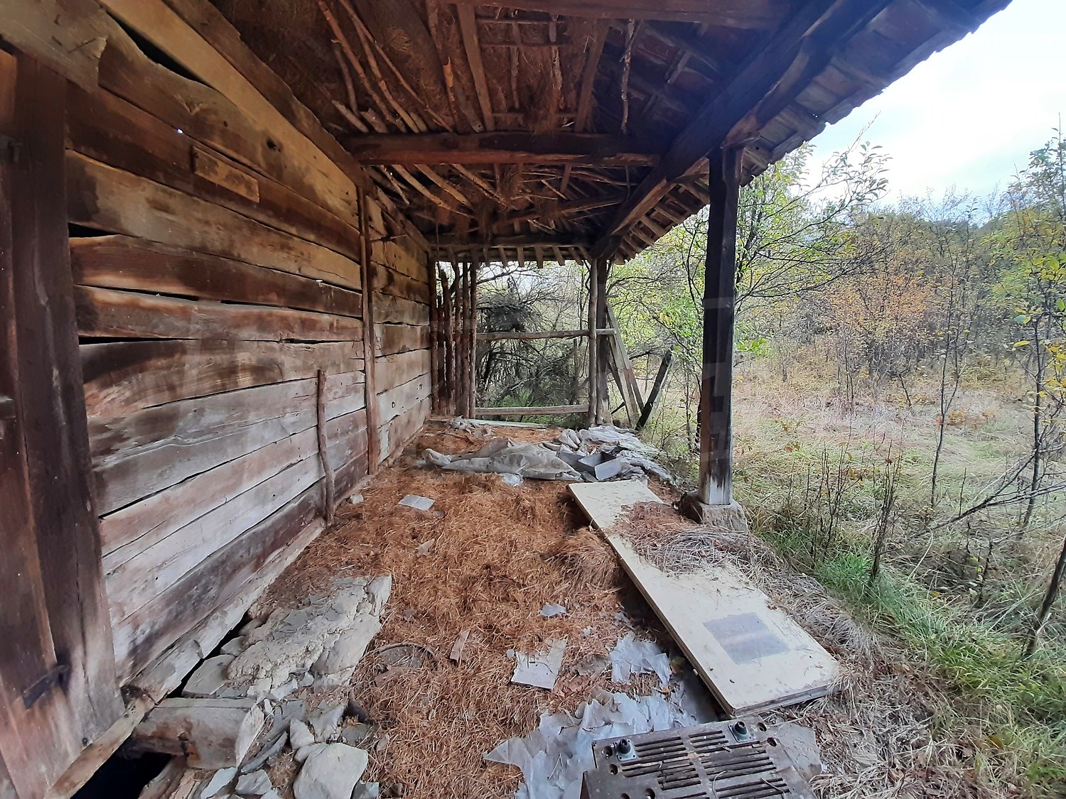 Gallery Picture 17