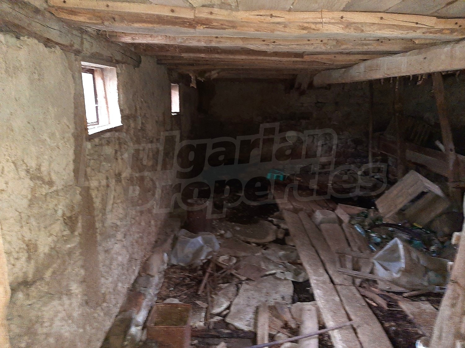 Gallery Picture 20