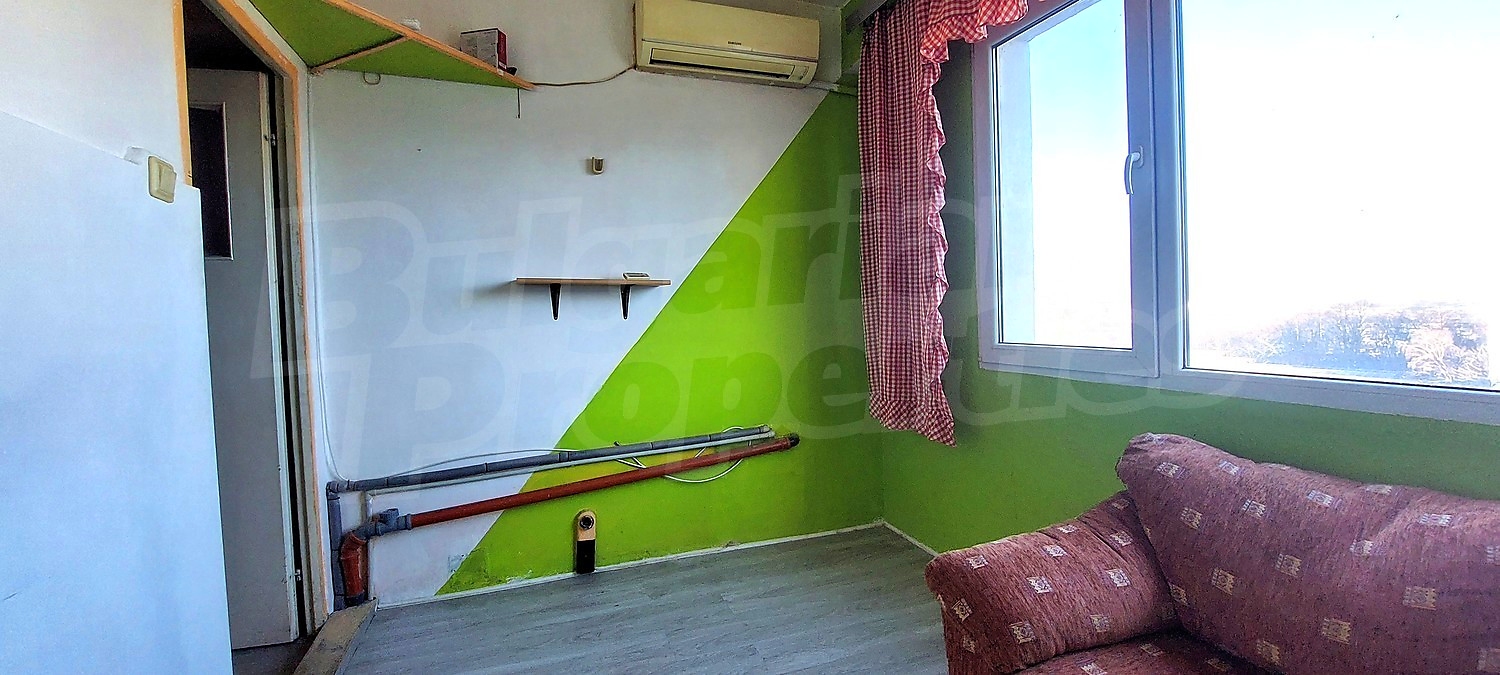 Gallery Picture 12