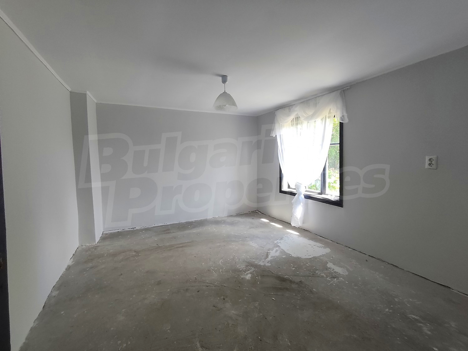 Gallery Picture 19