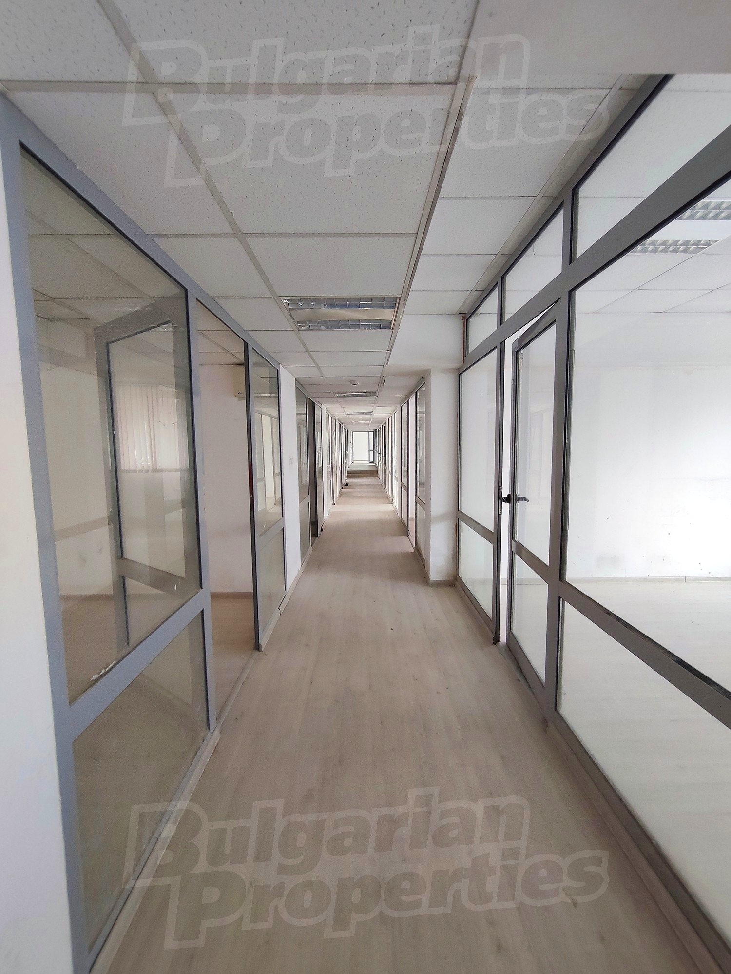 Gallery Picture 12