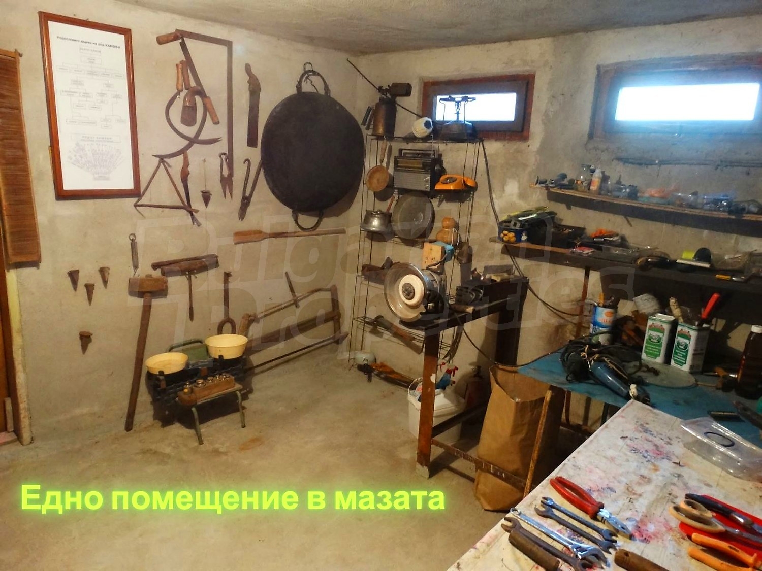 Gallery Picture 13