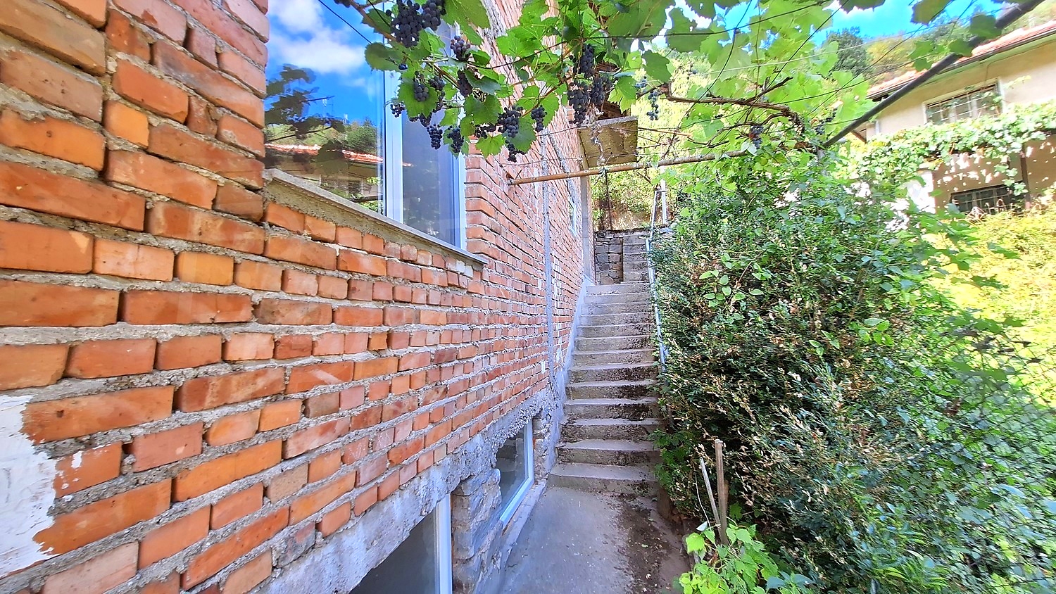 Gallery Picture 27