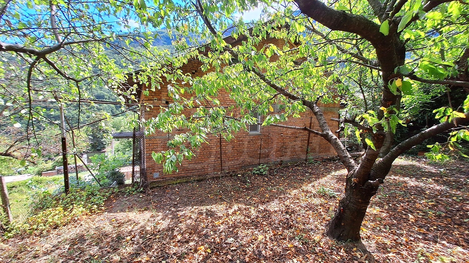 Gallery Picture 44