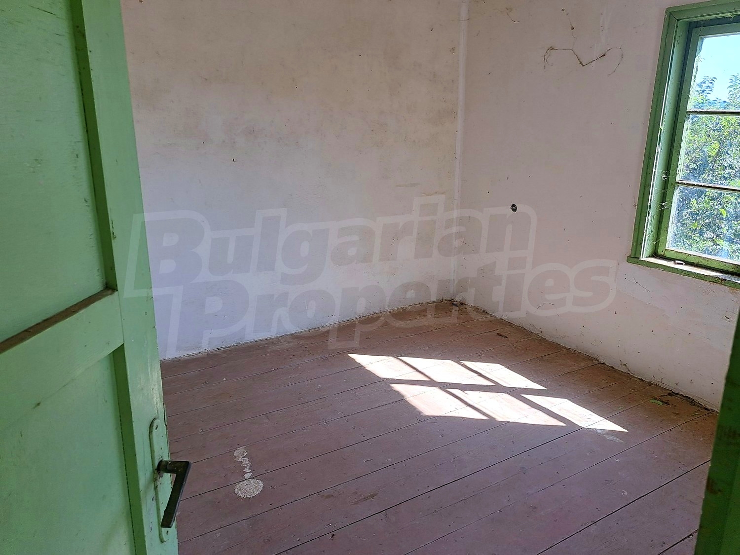 Gallery Picture 5