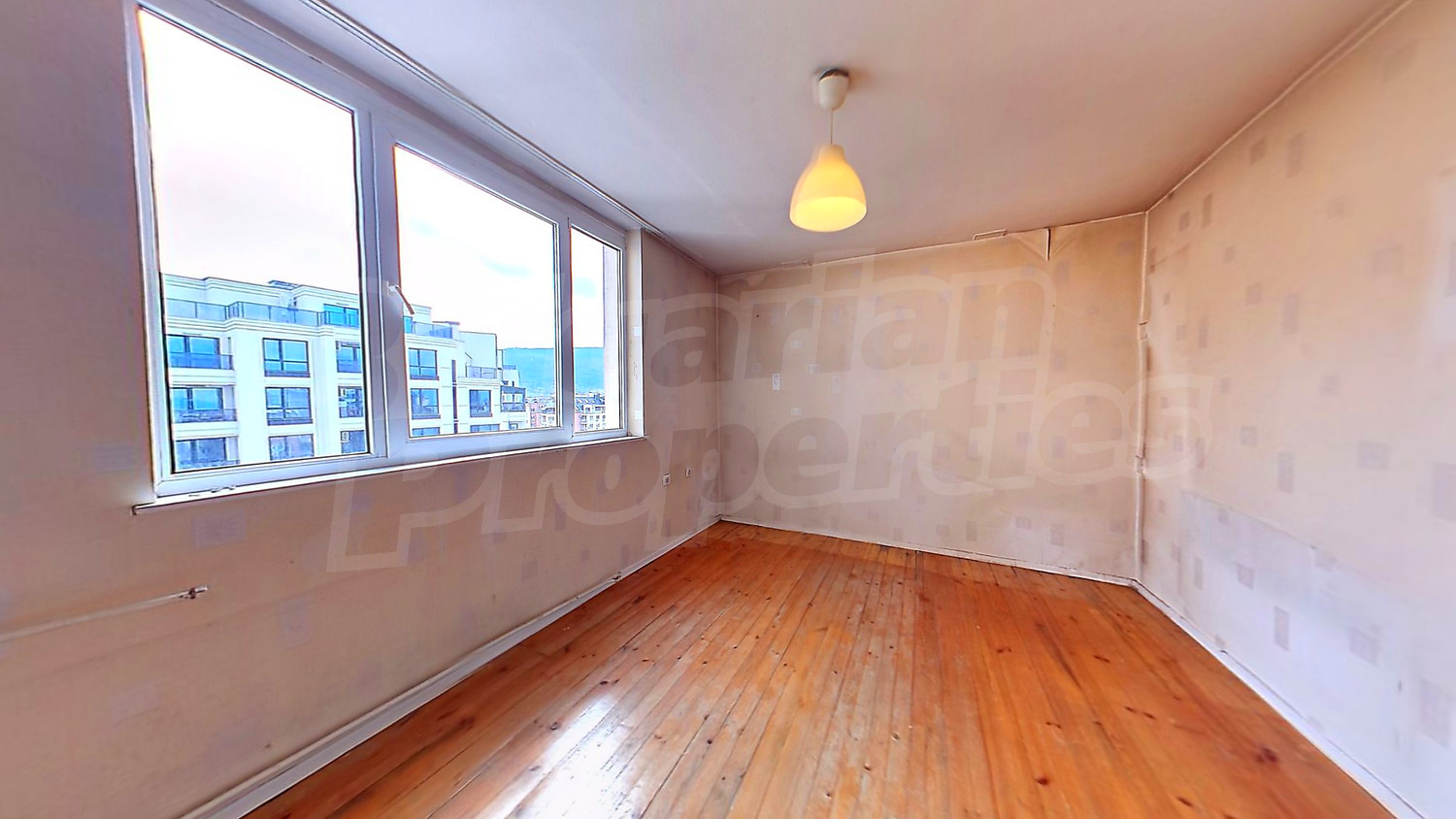 Gallery Picture 6