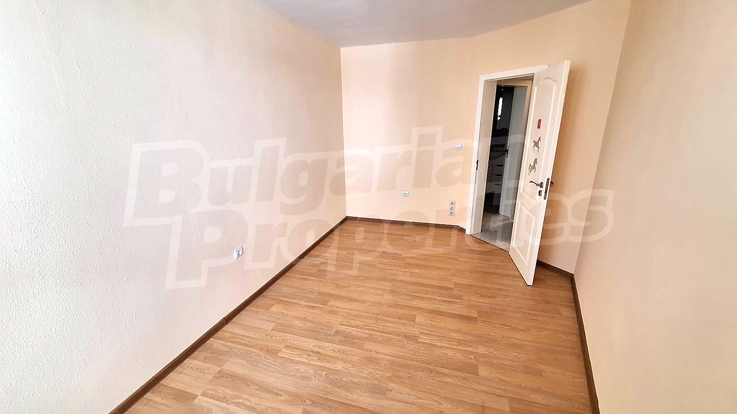 Gallery Picture 13