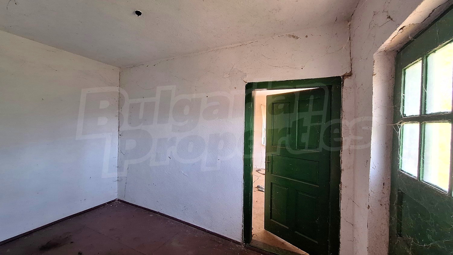 Gallery Picture 17