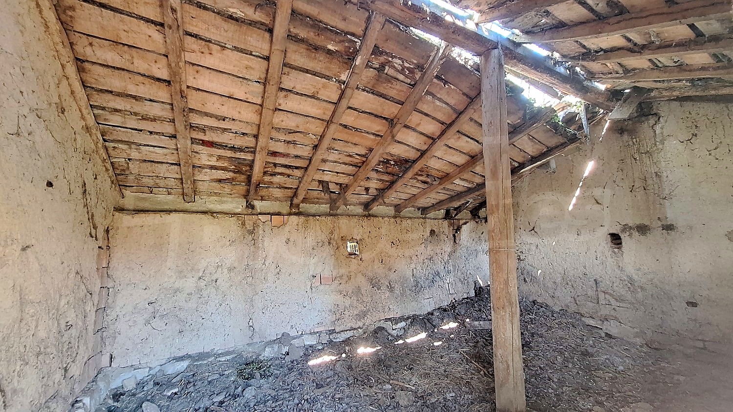Gallery Picture 36