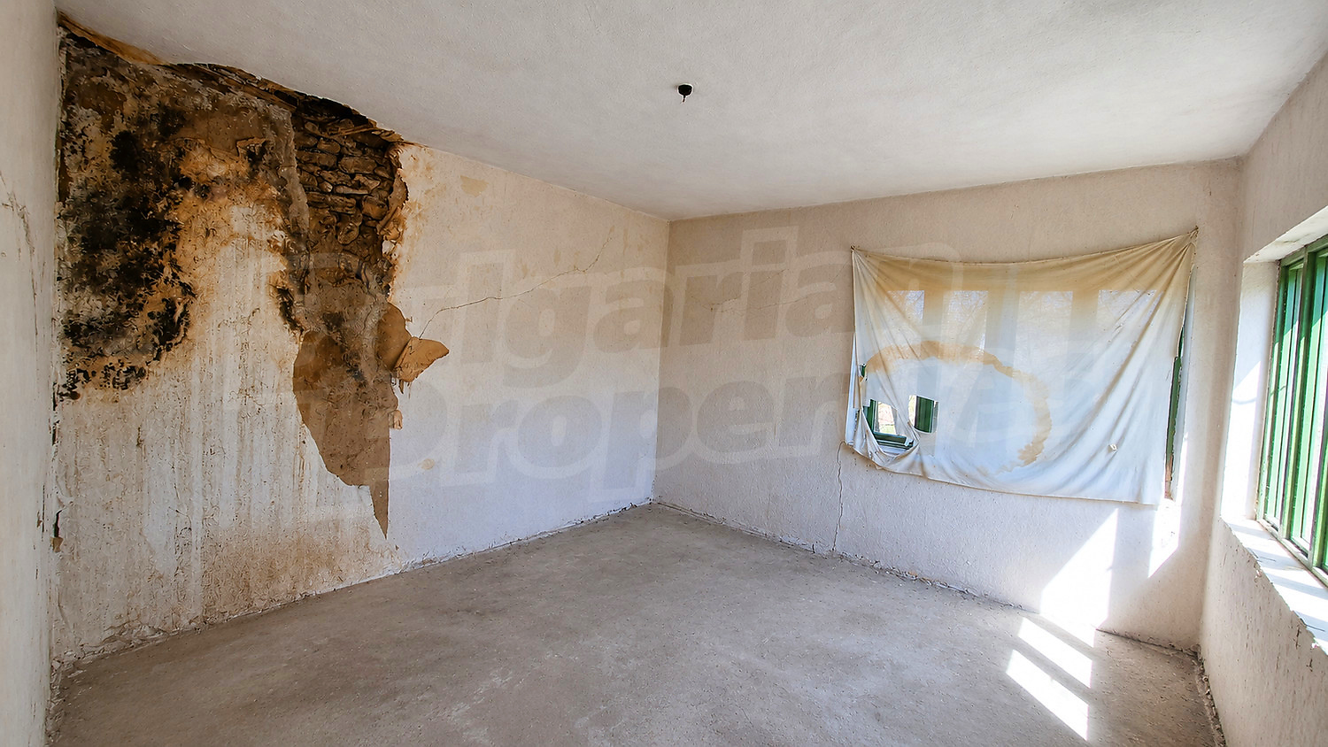 Gallery Picture 33