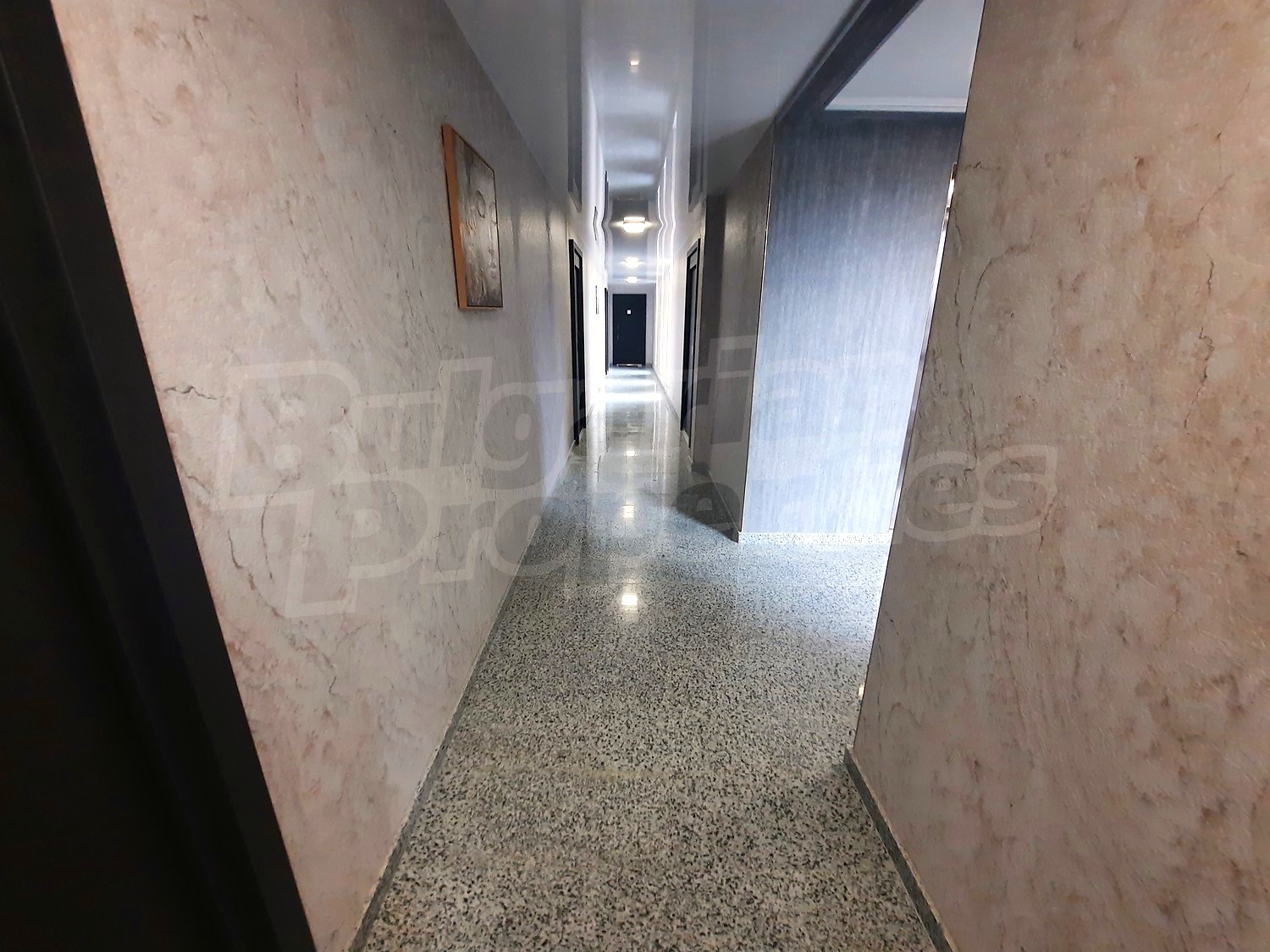 Gallery Picture 16