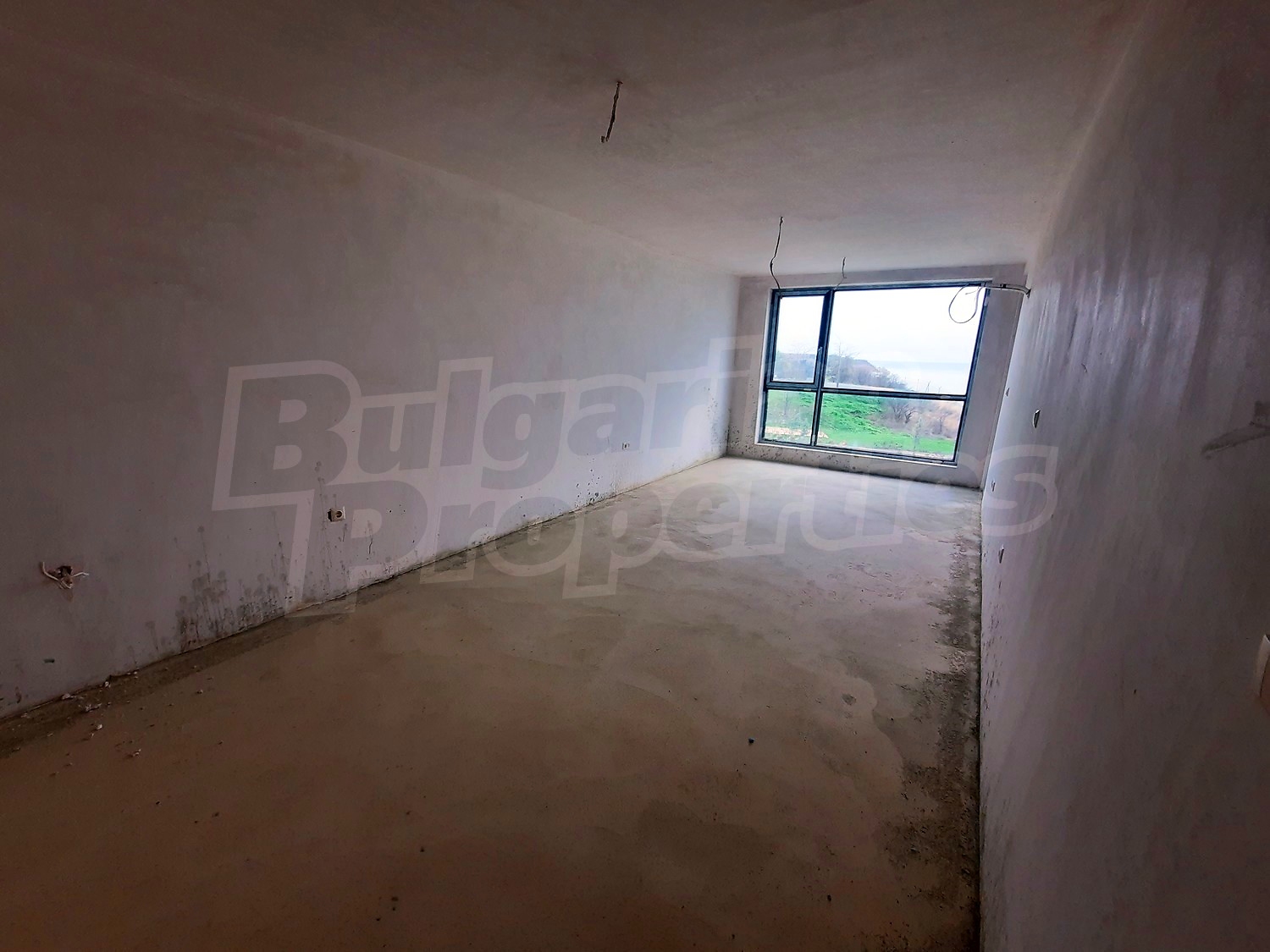 Gallery Picture 5