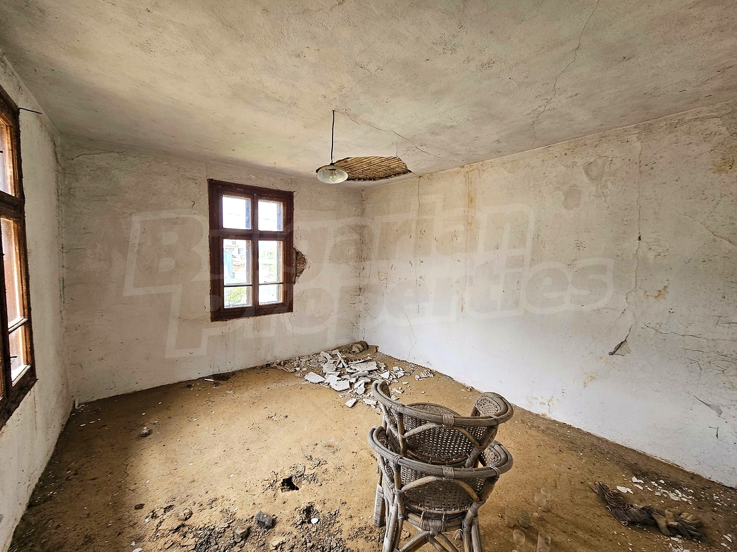 Gallery Picture 6