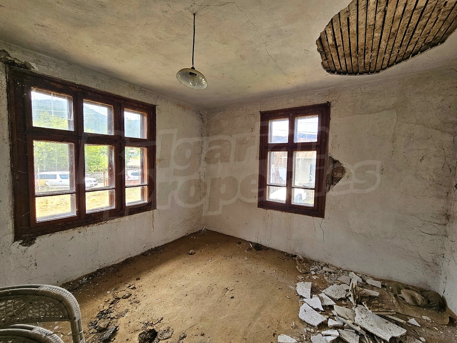 Gallery Picture 5
