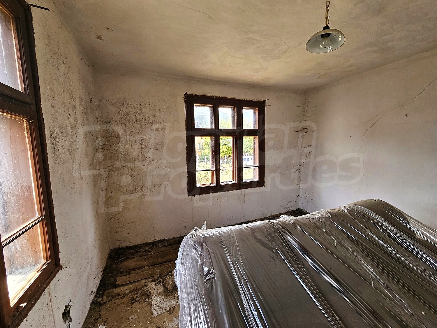 Gallery Picture 11