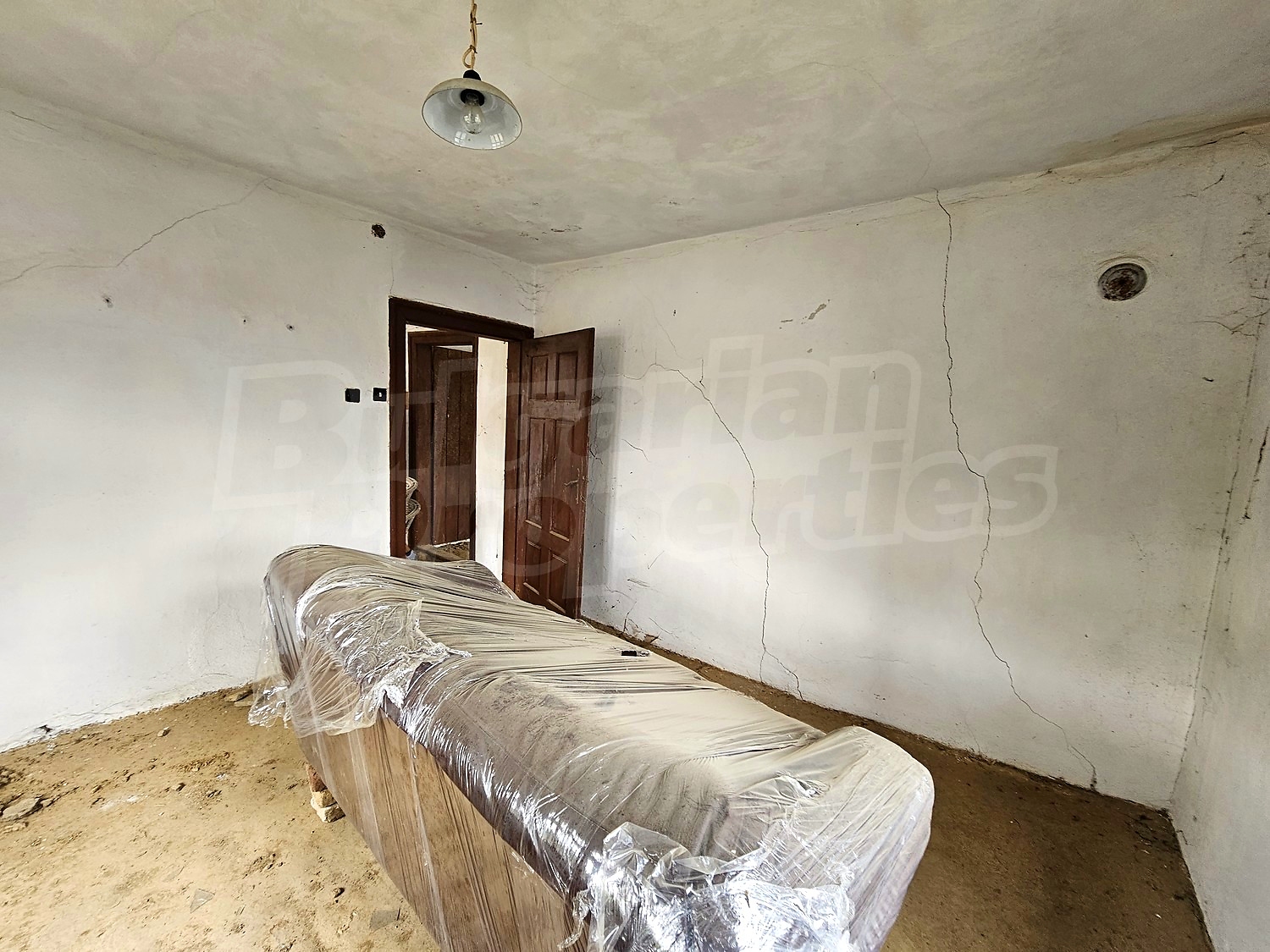 Gallery Picture 12